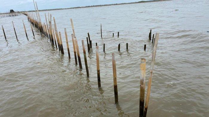 Warga Sebut Kades Kohod Catut Namanya untuk Sertifikat HGB Pagar Laut Tanpa Izin: Tolong Usut Tuntas