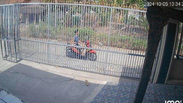 Seorang bocah di Kabupaten Ponorogo, Jawa Timur, terekam kamera CCTV mencuri anak kambing, Sabtu (5/10/2024).
