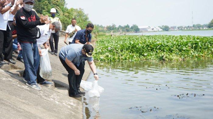 Bupati Kediri Mas Dhito meninjau lokasi budidaya ikan hias