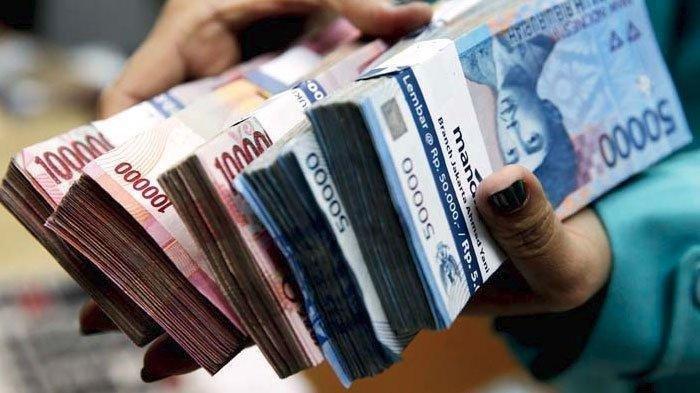 Ilustrasi lansia beri warisan Rp44 miliar ke kucing dan anjing karena marah tak dijenguk sakit oleh anaknya.