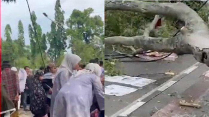POHON TIMPA JEMAAH - Pohon besar di Alun-Alun Pemalang, Jawa Tengah, tumbang dan menimpa jemaah salat Idul Fitri, Senin (31/3/2025). Akibat peristiwa ini, dua nyawa warga terambil.