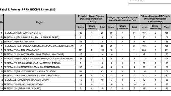 3 Jabatan PPPK 2023 BKKBN yang Ditempatkan di Kantor Regional, Lulusan