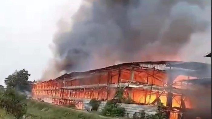 Petugas pemadam kebakaran mengevakuasi telur ular di Kediri 18 Desember 2025