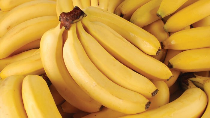 Ilustrasi buah pisang.