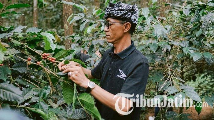 
Kepala Desa Ketapanrame, Zainul Arifin meninjau perkebunan kopi arabika, di Desa Ketapanrame, Trawas, Kabupaten Mojokerto, Minggu (6/10/2024).  

