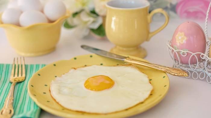 Ilustrasi menu diet telur