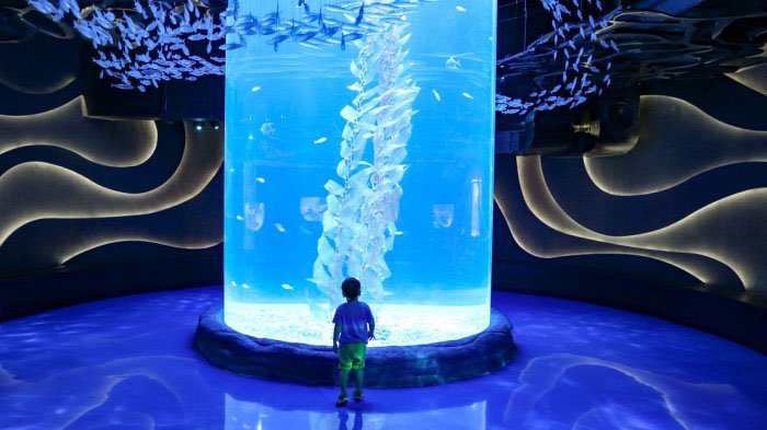 JAKARTA AQUARIUM Neo Soho