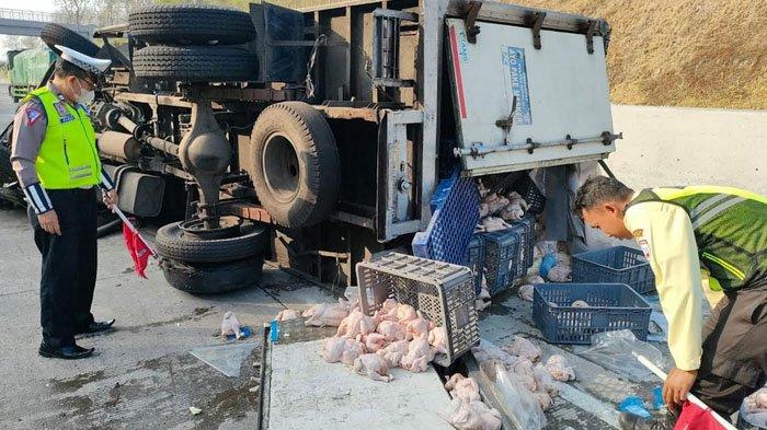 Terjadi kecelakaan di Tol Caruban-Kertosono KM 626 Jawa Timur, Jumat (2/8/2024). Sebuah truk muatan ayam frozen nopol W 9175 UP menabrak pembatas Jalan Tol Caruban-Kertosono.