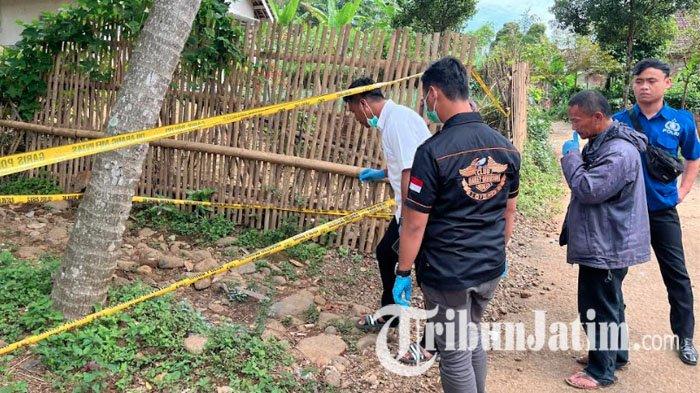 Kasatreskrim Polres Probolinggo, Iptu Fajar Putra Adi Winarsa dan anggotanya melakukan olah TKP pembunuhan nenek 65 tahun di Desa Bremi, Kecamatan Krucil, Probolinggo, Rabu (5/6/2024).