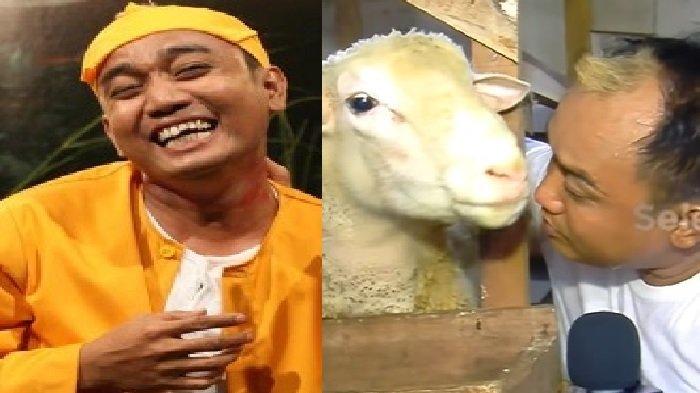 Potret pelawak terkenal jadi peternak kambing dan sapi. Bangun pondok pesantren untuk orang tua.