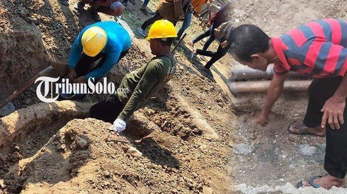 Petugas melakukan penyelamatan fosil gading gajah purba di Desa Ngebung, Kecamatan Kalijambe, Kabupaten Sragen, Selasa (1/8/2023).