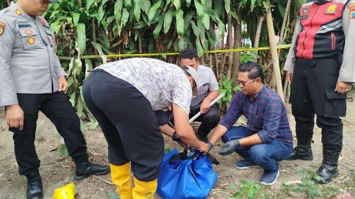 Polisi membawa jasad bayi yang ditemukan di pekarangan belakang rumah warga Desa Sumberasri, Nglegok, Kabupaten Blitar ke RSUD Mardi Waluyo Kota Blitar, Rabu (25/9/2024).