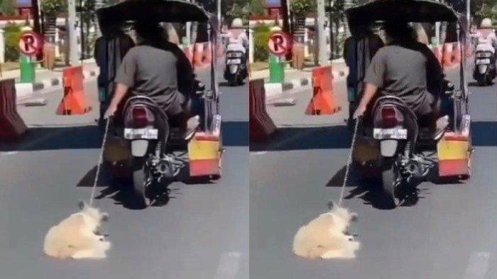 Aksi pengemudi becak motor seret anjing di jalan tengah viral di media sosial. Polisi turun tangan untuk menyelidiki.