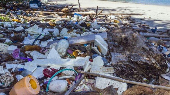 SAMPAH LAUT - Ilustrasi sampah plastik di pantai. Penyanyi dan rapper asal Amerika Serikat, Azealia Banks, tengah viral di platform X pada Sabtu (12/4/2025) usai menyebut Indonesia 'tong sampah' dunia.