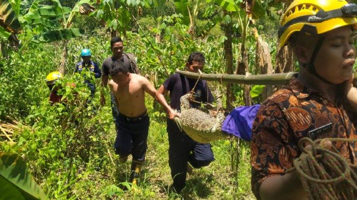 Personel Dindamkarmat Bojonegoronsaat mengevakuasi buaya dari aliran Sungai Prudung Bojonegoro, Jumat (16/2/2024) pagi.