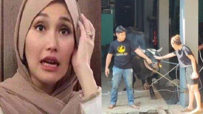 Ayu Ting Ting punya tim potong sendiri tiap Idul Adha 2023. Cara artis cantik ini tenangkan sapi kurban ngamuk jadi sorotan.