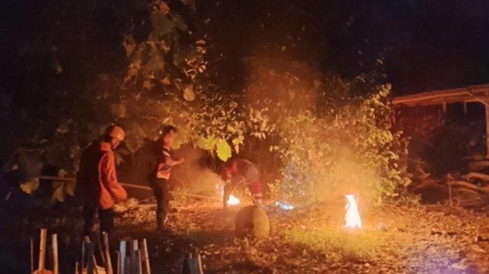 DIMUSNAHKAN - Petugas BPBD Magetan memusnahkan Sarang Tawon Vespa di Desa Jonggrang, Kecamatan Barat, Kabupaten Magetan, Selasa malam (4/2/2025). Serangan Tawon Vespa menyebabkan pria desa setempat meninggal dunia