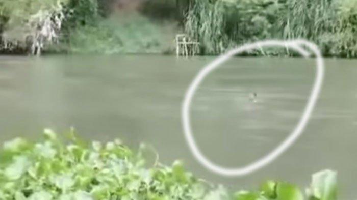 Seorang pemuda selamatkan bocah hanyut di sungai pakai senar pancing viral di media sosial.