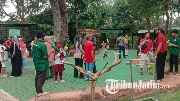 TEMPAT WISATA MALANG - Suasana tempat wisata New Wisata Wendit by Nicole's Malang pada Selasa (1/7/2025). Terletak di Jalan Raya Wendit Timur, Kecamatan Pakis, Kabupaten Malang, tempat wisata ini menghadirkan suasana asri serta edukasi. 