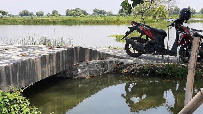 Viral jembatan Rp 200 juta di Gresik