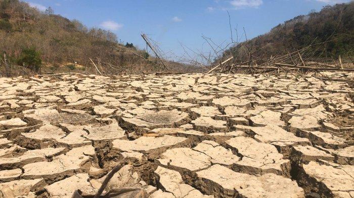 Waduk Bendo di bagian Desa Ngadirojo Kecamatan Sooko dan Desa Temon Kecamatan Sawoo Kabupaten Ponorogoulai menyusut. Juga terlihat yang semula dipenuhi air berubah daratan tanahnya merekah.