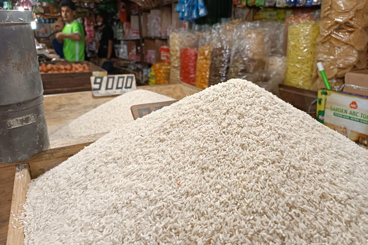 Penyaluran Beras 30 Kg untuk 33,2 Juta KPM Dimulai Kuartal IV 2026