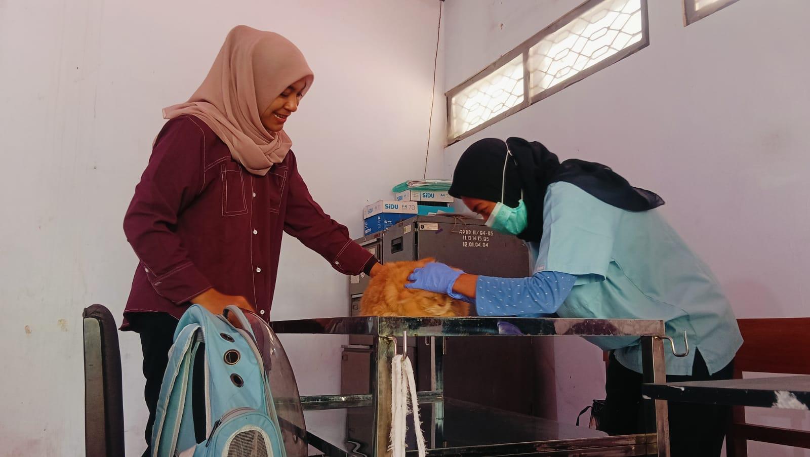 Ratusan Pemilik Hewan di Trenggalek Geger Antusias Serbu Vaksin Rabies