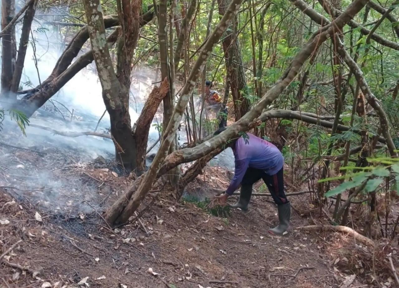 Hujan Deras Padamkan Karhutla Bukit Tapan Nganjuk