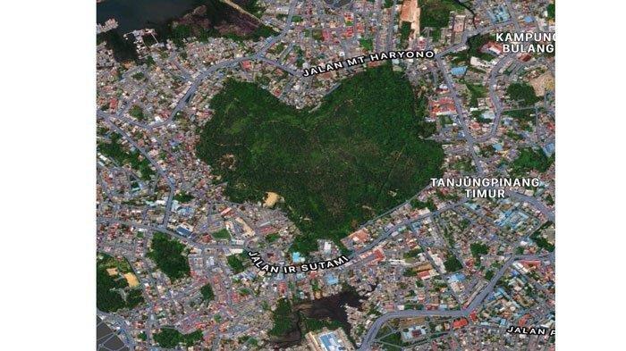 Hutan Lindung Bukit Kucing atau wisata Hutan Berbentuk Hati di Tanjungpinang, Kepulauan Riau.