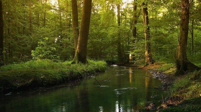 Black Forest, Jerman