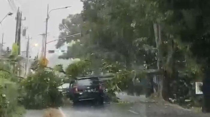 Pohon tumbang menimpa mobil melintas di jalan sebelah barat Perempatan Ngablak, Bangunkerto, Turi, Sabtu (24/2/2024).