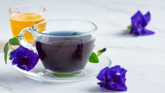 Cup of Butterfly pea flower tea with honey on table