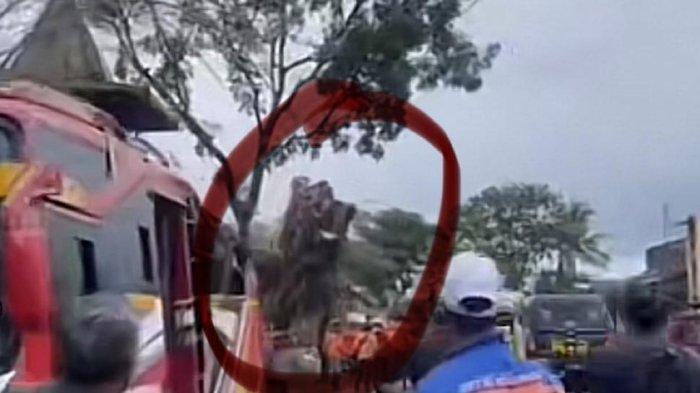 Viral pohon beringin di Kabupaten Wonogiri berdiri kembali usai tumbang diterjang angin kencang.