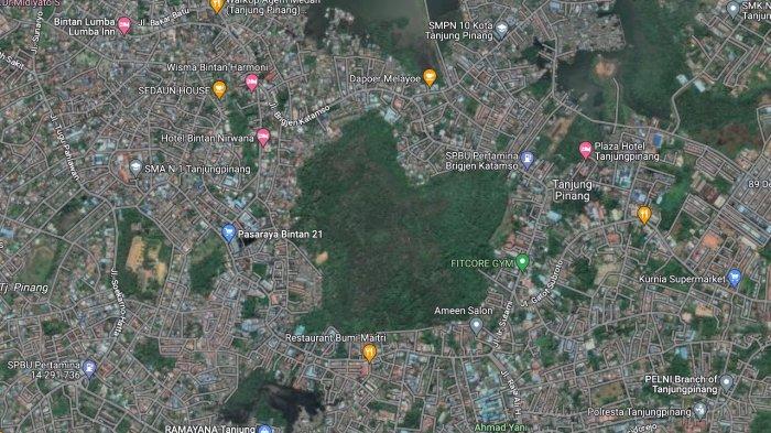 Hutan Lindung Bukit Kucing di Tanjungpinang, Kepulauan Riau memiliki bentuk hati.