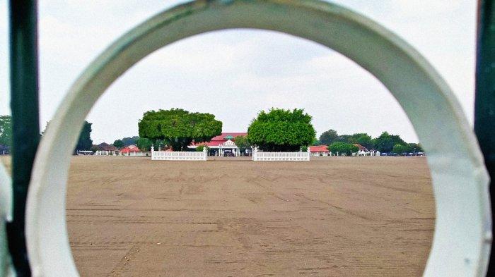 Foto penampakan bagian tengah Alun-alun Utara Yogyakarta setelah direvitalisasi. Pohon beringin Dewa Daru dan Wijaya Daru tampak gagah setelah bagian kanan dan kirinya diratakan menggunakan pasir halus, Rabu (13/7/2022).