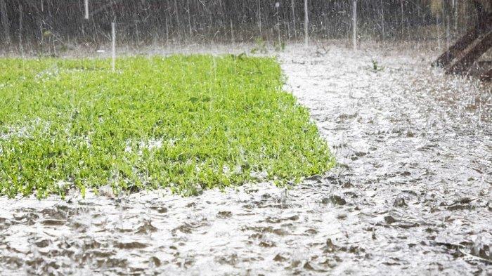 Arti mimpi halaman rumah kemasukan air menurut Primbon Jawa