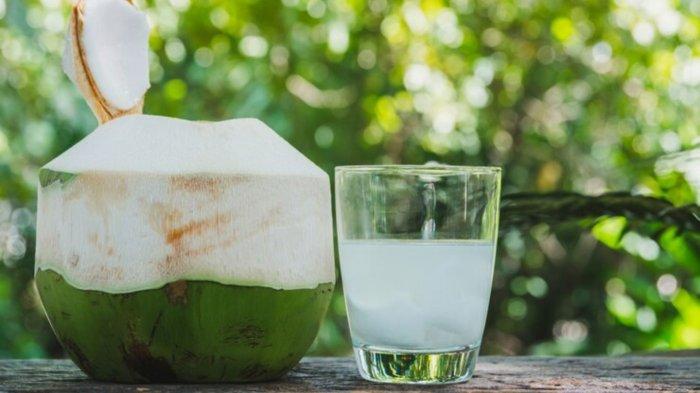 Mempunyai Banyak Manfaat, Kelapa Muda Baik Untuk Gerd dan Ibu Hamil!