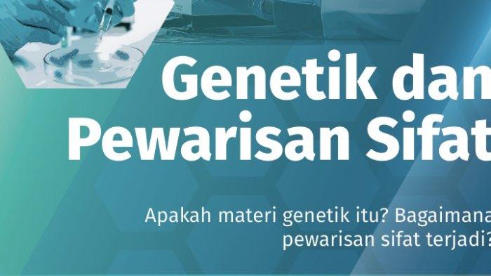 Rangkuman Materi Biologi Kelas 12 Bab 2 Bagian B: Sintesis Protein ...