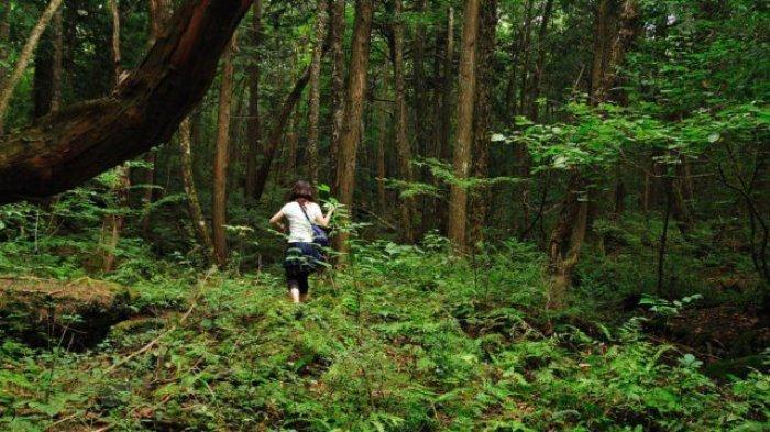 Hutan