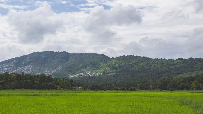 Kualitas Udara di sejumlah kota di Indonesia, pagi ini, 1 Agustus, 2024