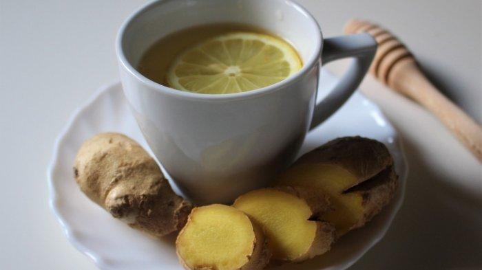 Jadi Alternatif Obat Sirup, Ini Resep Ramuan Herbal untuk Obati Demam ...