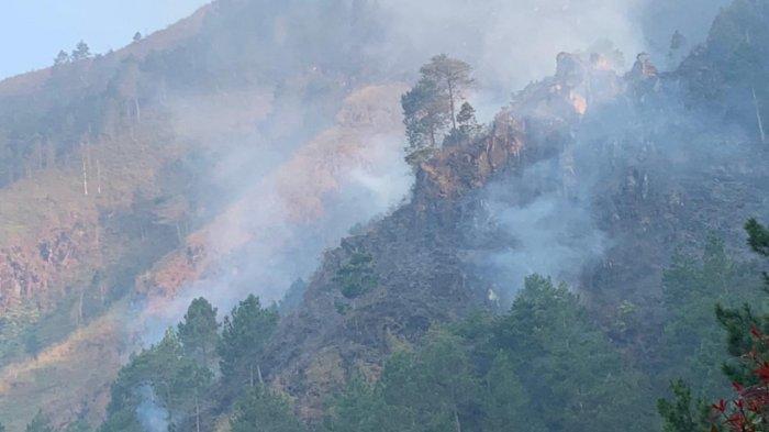Kebakaran Gunung Andong, Kamis (10/8/2023)