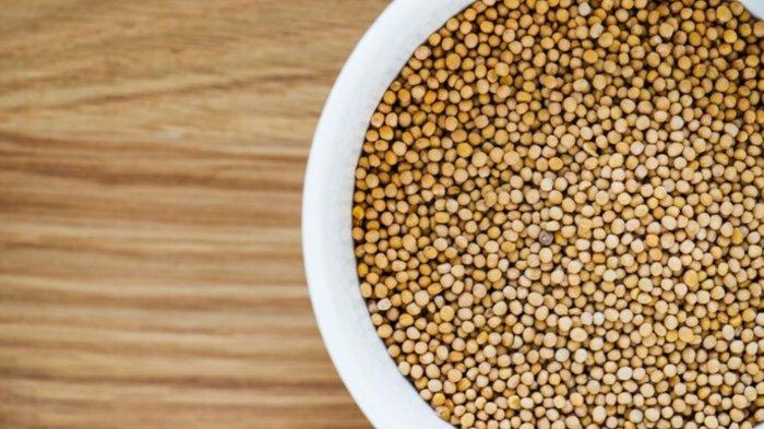 Closeup of coriander seed