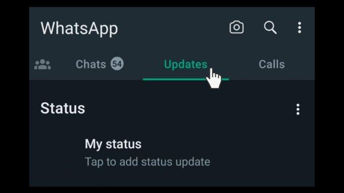 Langkah pertama mengatur privasi Status WhatsApp