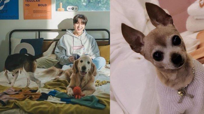 Lee Min Ho bersama choco