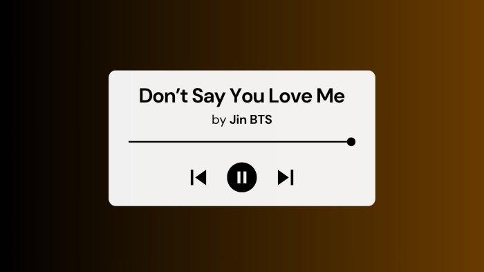 Lirik Lagu dan Terjemahan Jin BTS Don't Say You Love Me