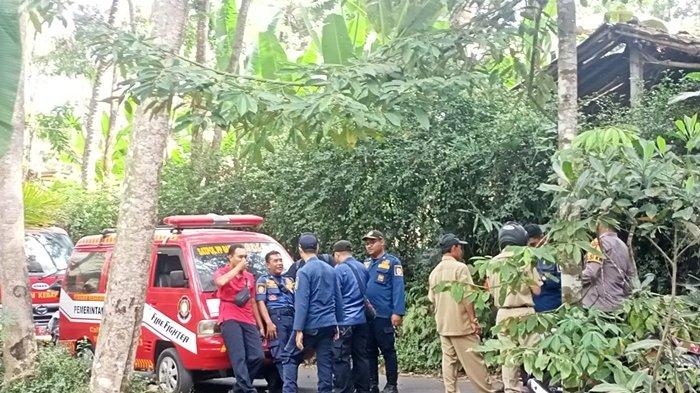 Personel Damkar Klaten saat mendatangi lokasi warga diserang lebah hutan di Desa Jiwan, Kecamatan Karangnongko, Kabupaten Klaten, Jawa Tengah, Senin (3/7/2023).