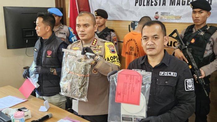Jajaran Satuan Reserse Narkoba Polresta Magelang membekuk kurir narkoba jenis ganja berinisial DD (21), warga Kecamatan Srumbung, Magelang yang sering beraksi dengan sistem ranjau