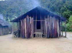 Rumah Yamewa (Papua) Pinterest.com