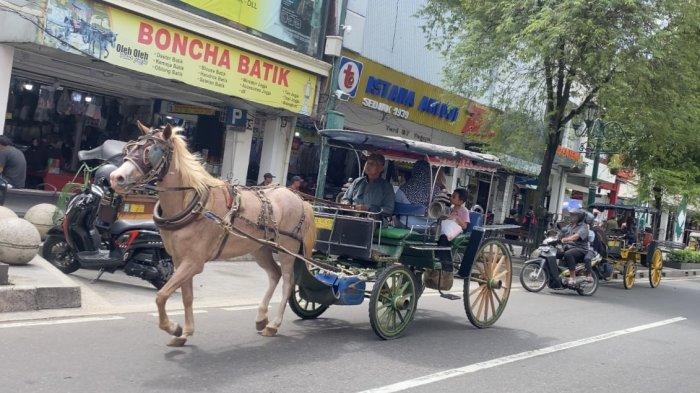 PENGATURAN ARUS: Andong melintas di jalan Malioboro Jogja. Satlantas Polresta Yogyakarta berencana mengarahkan kendaraan berputar di beberapa jalan penyangga untuk mengurangi potensi kepadatan lalu lintas.